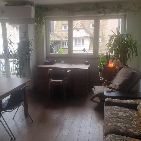 La Puisatiere 80 M2 Daire Strazburg Dış mekan fotoğraf