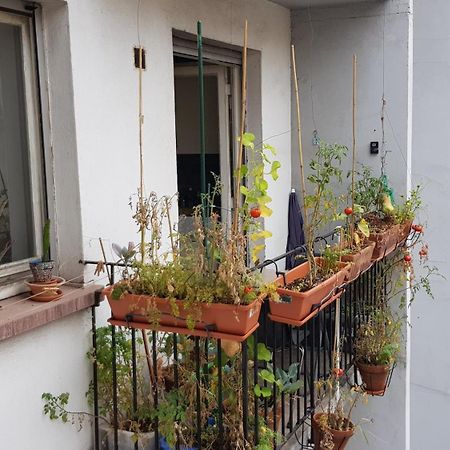 La Puisatiere 80 M2 Daire Strazburg Dış mekan fotoğraf