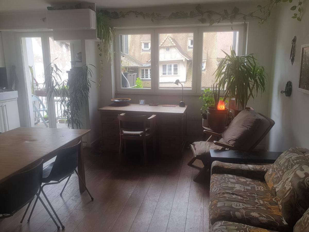La Puisatiere 80 M2 Daire Strazburg Dış mekan fotoğraf