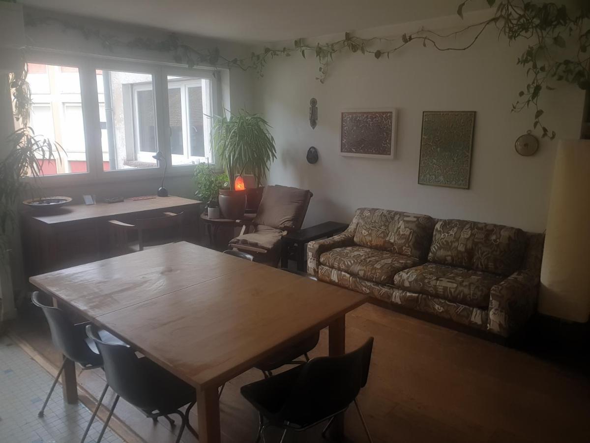 La Puisatiere 80 M2 Daire Strazburg Dış mekan fotoğraf