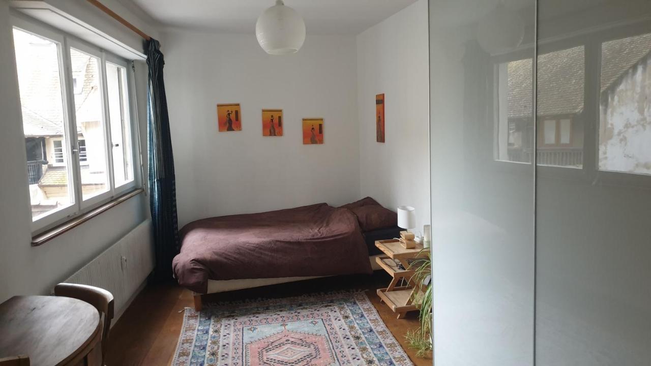 La Puisatiere 80 M2 Daire Strazburg Dış mekan fotoğraf