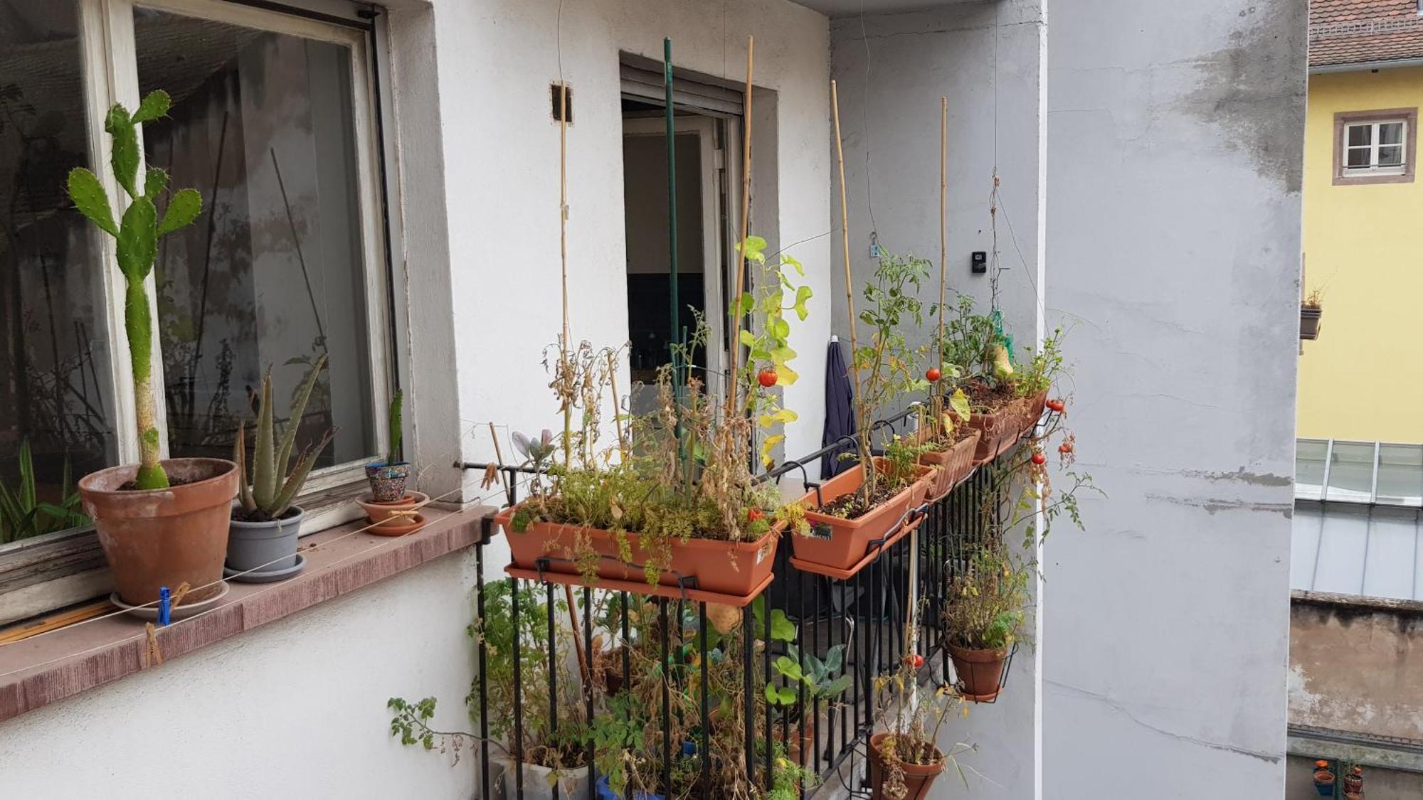La Puisatiere 80 M2 Daire Strazburg Dış mekan fotoğraf